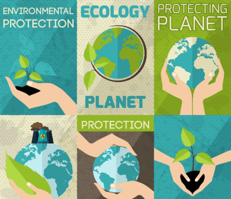Medio ambiente y estudios de impacto ambiental